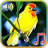 icon Birds sounds ringtones(Suoni di uccelli Suonerie e sfondi) 1.1