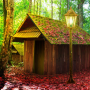 icon Mystery Forest House Escape(Mistero Casa nella foresta Fuga
)