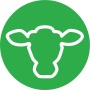 icon AgroVision Cows