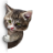 icon Catbusters(Catbuster: trova il gatto) 1.0.2