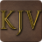icon KJV Bible(KJV Audio Bible) 43