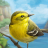 icon Birds of a Feather Solo Game(Birds of a Feather Gioco di carte) 2.0