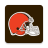 icon Browns(Cleveland Browns) 6.7.5