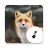 icon Fox Sounds 4.5.2