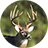 icon Whitetail Deer Calls(Chiamate dei cervi di Whitetail) 4.1
