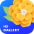 icon Gallery(Gallery - Photo Gallery App) 1.0