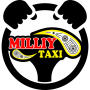 icon Milliy taxi(Tassista nazionale)