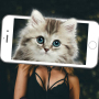 icon Animal Face(Quello che Animal Scanner Face Prank)