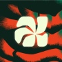icon Couleur Café ()