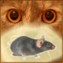 icon Mouse on screen for cat(Mouse sullo schermo per un gatto)