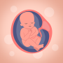 icon com.pregnancytracker.tm(Календарь
)