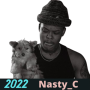 icon Nasty C All Songs MP3(Nasty C All Songs MP3
)
