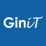 icon GiniT()