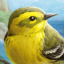icon Birds of a Feather Card Game (Birds of a Feather Gioco di carte)