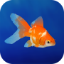 icon Goldfish 3D Relaxing Aquarium (Pesce rosso 3D Acquario rilassante)