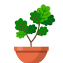 icon Terrarium: Garden Idle (Terrarium: Garden Idle
)