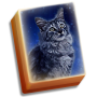 icon Cat Tailz(Mahjong nascosto Code di gatto:)