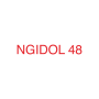 icon Ngidol48