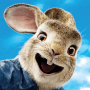 icon Peter Rabbit(Peter Rabbit Run!
)