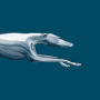 icon Greyhound(Greyhound: Acquista i biglietti dell'autobus)