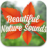 icon Beautiful Nature Sounds(Bei suoni della natura) 1.1