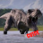 icon Jurassic World Evolution Guide(Jurassic World
) 1.0.1