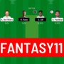 icon Team Experts(Team 11 app - Fantasy Cricket
)