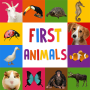 icon First Words for Baby: Animals (Prime parole per bambino: Animali)