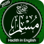 icon Sahi Muslim English(Sahih Muslim Hadith (inglese))