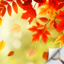 icon Autumn Garden(Hidden Object - Autumn Giardino)