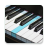 icon 5.44.0