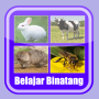 icon Belajar Membaca Binatang (Impara a leggere gli animali)