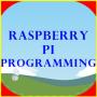 icon RaspberryPi Programming (Programmazione RaspberryPi)