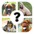 icon QUIZ: Razas de perro(ALL QUIZ: Razas de perro
) 8.4.4z
