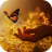 icon Citations Sur La Vie(Citations Sur La Vie
) 1.5