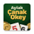 icon com.aylak.canak_okey(Aylak Çanak Okey
) Aylak Canak v1.0.0 Build: 2017