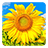 icon Golden Sunflower Live Wallpaper(LWP Golden Girasole) 3.1