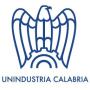 icon Unindustria Calabria()