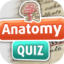 icon Anatomy Trivia Quiz (Anatomia Curiosità Quiz)