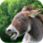 icon Donkey Sounds(Suoni dasino) 1.0