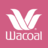 icon WACOAL Body Diary+(WACOAL Diario del corpo+) 1.2.44