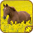 icon Horse Puzzles (Horse Jigsaw Puzzle HD) 2.13