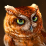 icon The Owl(Il gufo
)